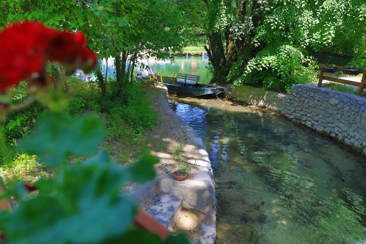 Počitniška hiša Lagoon